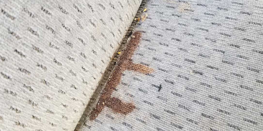 Coffee Stain on Seat