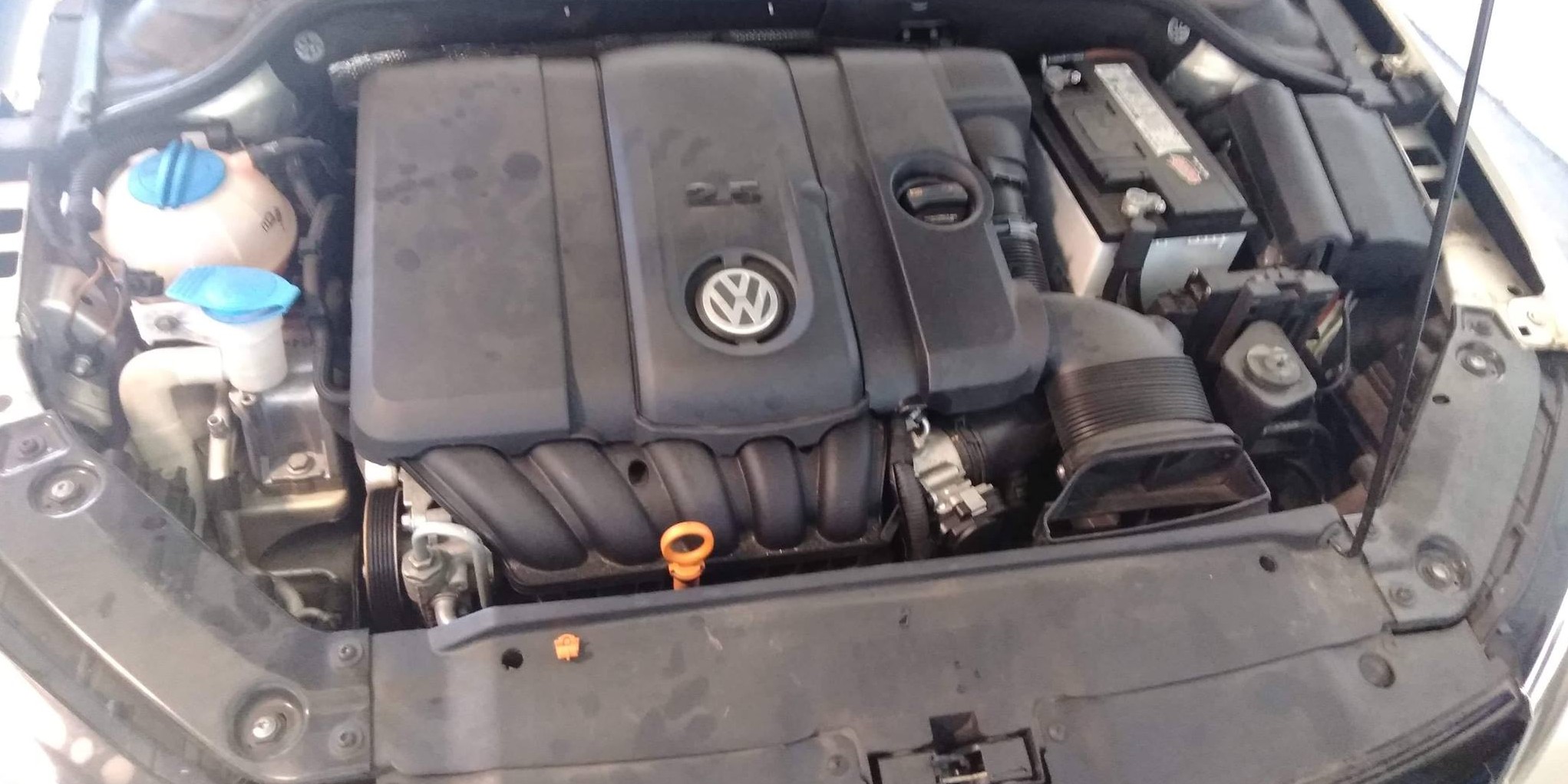 Top Vehicle Detailing Service - Before Engine Steam Cleaning