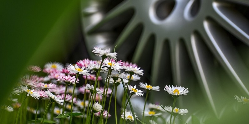 We Are Eco-Friendly!