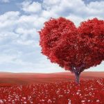 A Healthy Heart – Cupids Love