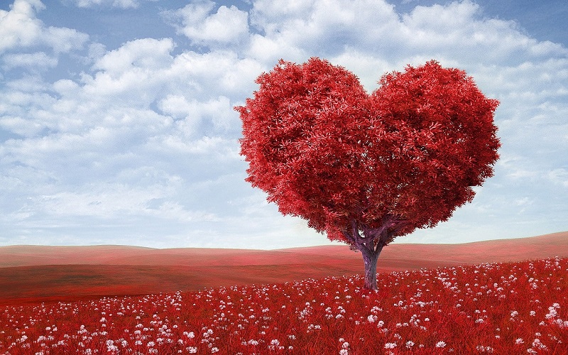 A Healthy Heart – Cupids Love