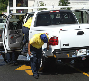 professional detailers
