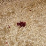 Blood Stains
