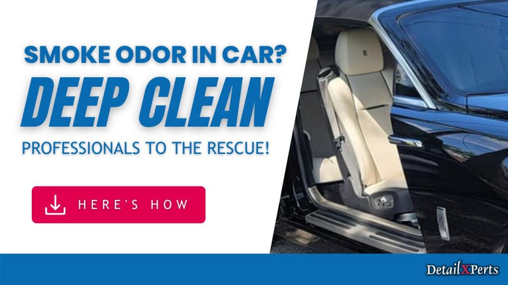 Car Mat Cleaner - 12 Products to Try - DetailXPerts Blog