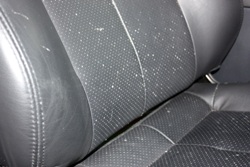 How To Remove Mildew Smell in Car?