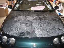 How to Wax Your Vehicle Properly