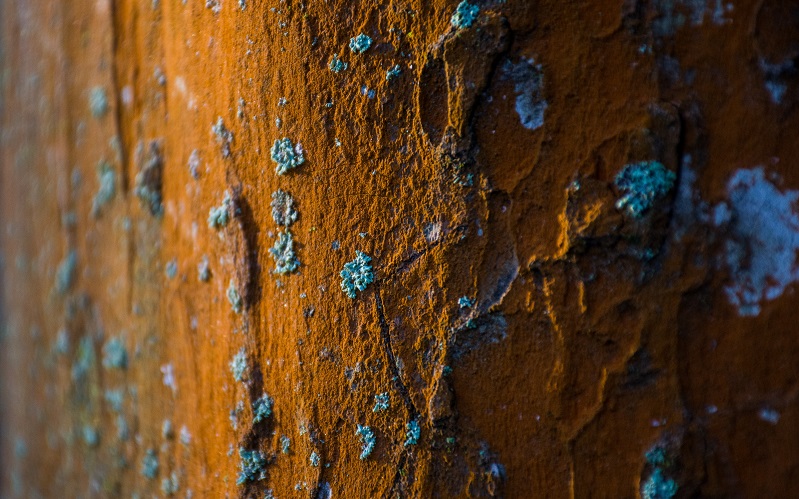 How to Rust Proof Your Car