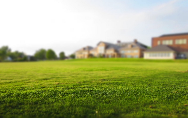 5 Tips to Green Car Wash at Home