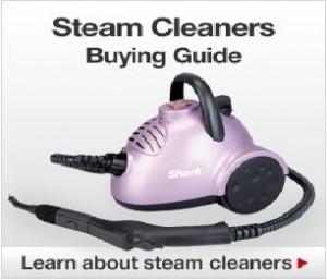Car Steam Cleaner Buying Guide