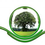 Do Eco Car Washes Really Save the Planet