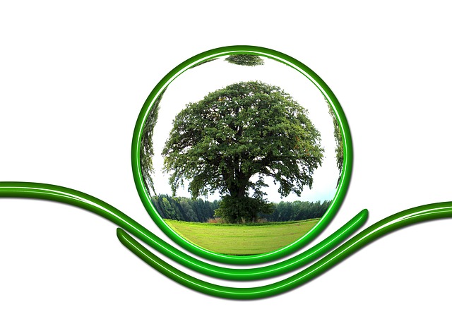 Do Eco Car Washes Really Save the Planet