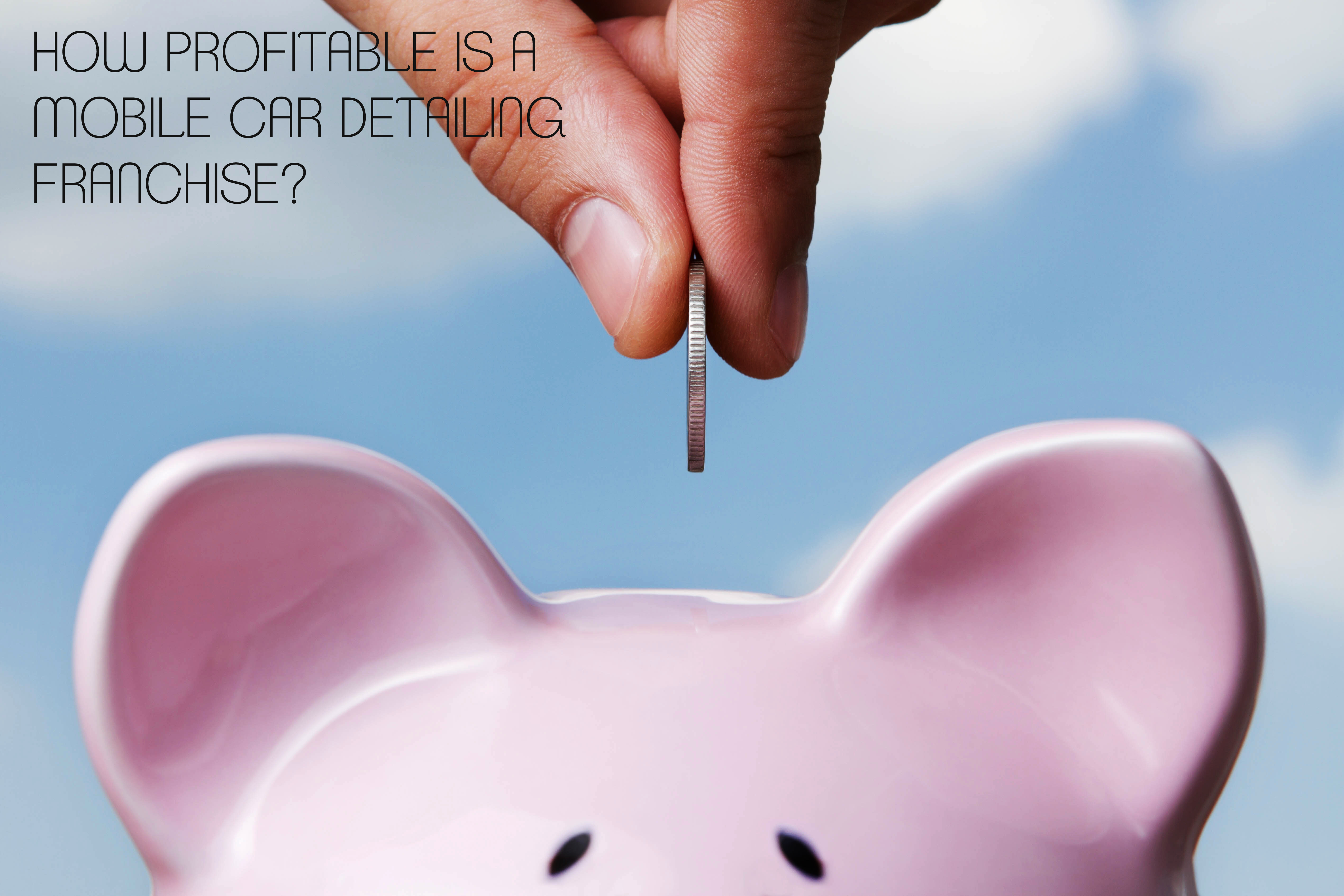 how-profitable-is-a-mobile-car-detailing-franchise