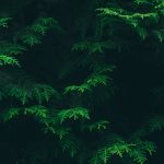 A Unique, Green and Efficient Detroit Mobile Detailing Service