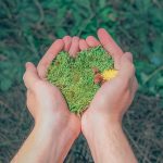 Detailing Your Own Car: How It Hurts the Environment