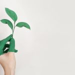 Engine Steam Cleaning: Why Should You Go Green?