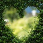 World Nature Day DetailXPerts Commitment towards Sustaining a Green Planet