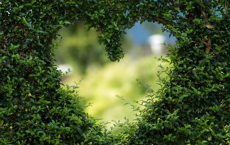 World Nature Day: DetailXPerts’ Commitment towards Sustaining a Green Planet