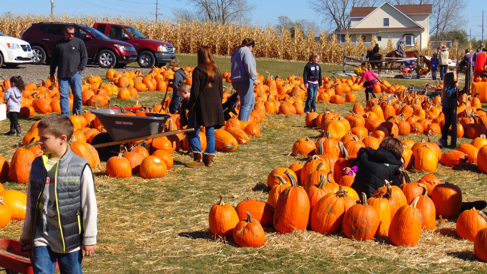 “How Is Halloween Celebrated Around The World? 2024 Insights
