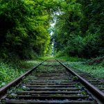 Auto Detailing Services: Do They Protect or Destroy Nature?