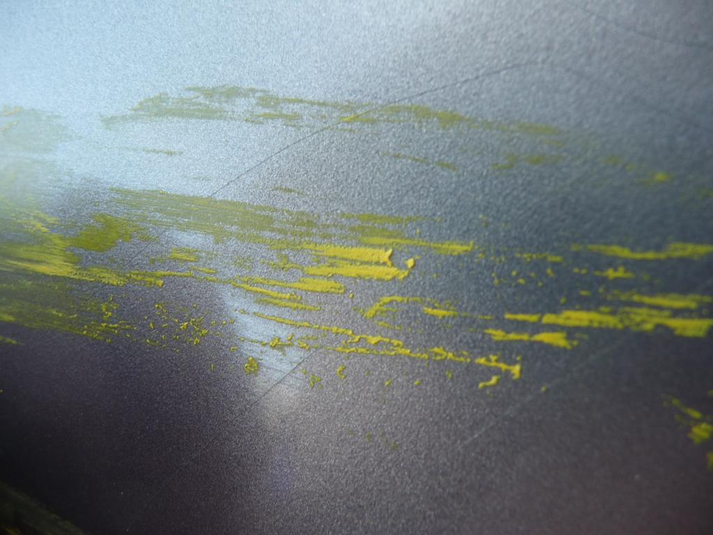 What Is the Difference Between Paint Transfer and Paint Scratch? DetailXPerts We Bring the
