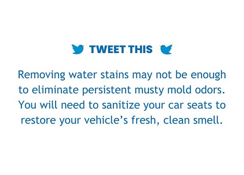 How to Remove Water Stains from Car Upholstery_Tweet Section