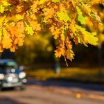 Eco Car Wash – Using Steam for Best Results