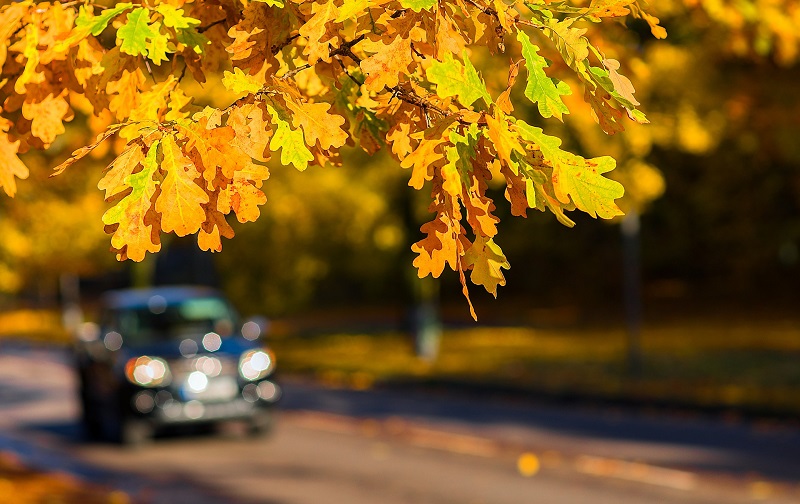 Eco Car Wash – Using Steam for Best Results