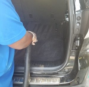 Vacuum the Trunk