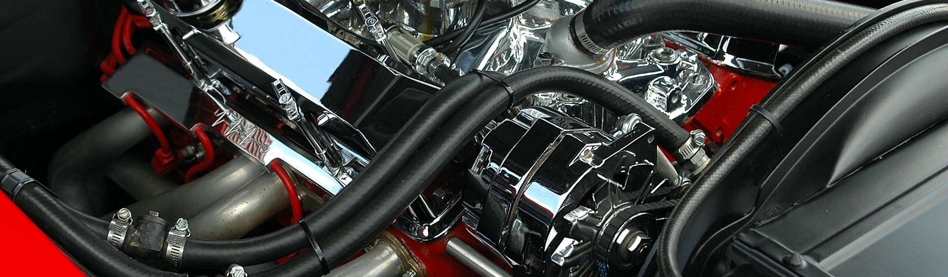 Eco Steam Detailing Specialties by DetailXPerts DetailXPerts We