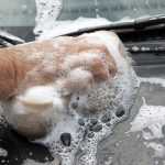 7 Reasons Why Using Dish Soap on Cars Is Not a Good Idea