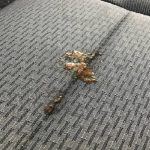 Best Recipe for Green Homemade Degreaser for Car