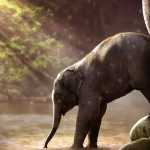 How Eco Auto Detailing Helps Protect Animals