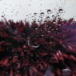 10 Car Wash Brush Types