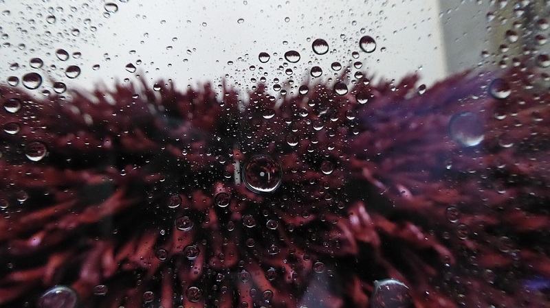 10 Car Wash Brush Types