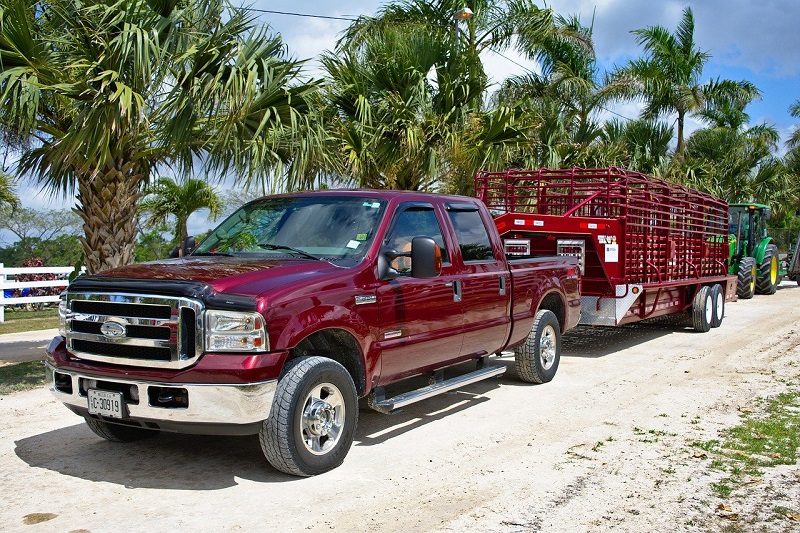 Clean Truck