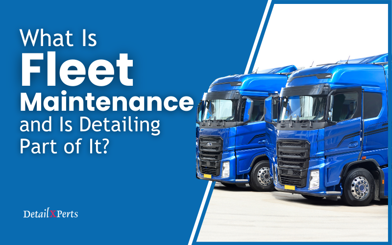 What Is Fleet Maintenance and Is Detailing Part of It?