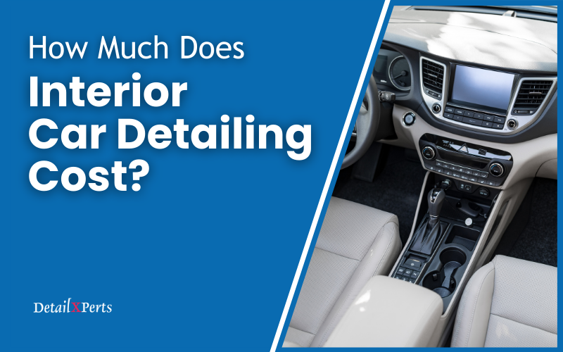 How Much Does Interior Car Detailing Cost