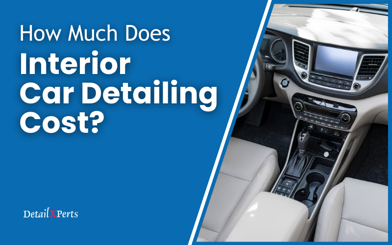 Interior Car Detailing Cost