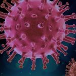 Killing Viruses with Steam How DetailXPerts’ Technology Can Help You