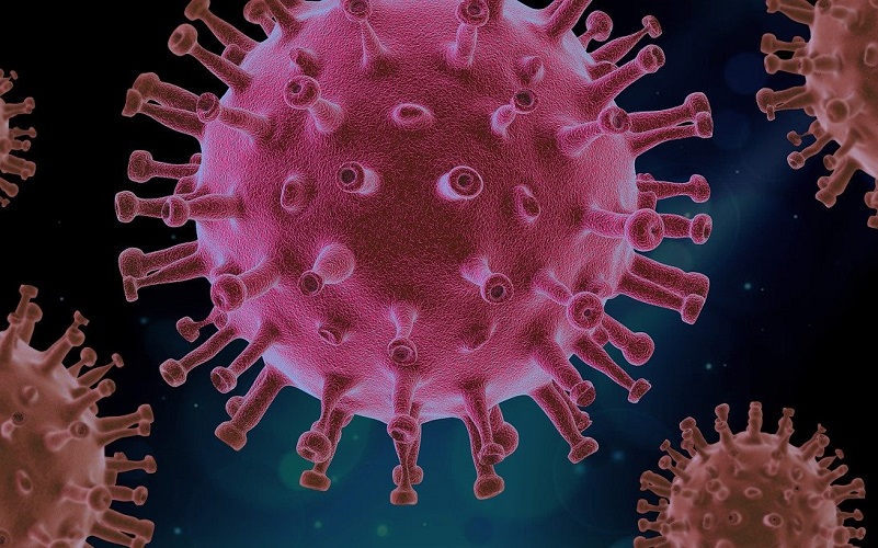 Killing Viruses with Steam How DetailXPerts’ Technology Can Help You