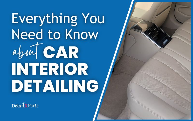 Everything You Need to Know about Car Interior Detailing