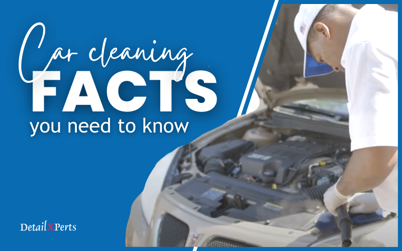 Multi-Clean Why Disinfect Your Car? Because Your Steering Wheel is Dirtier  than a Toilet Seat - Multi-Clean