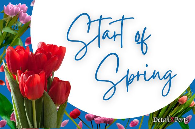 Start of Spring Special