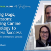How to Achieve Business Success by Applying Canine Psychology