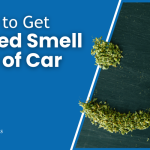 How to Get Weed Smell out of Car